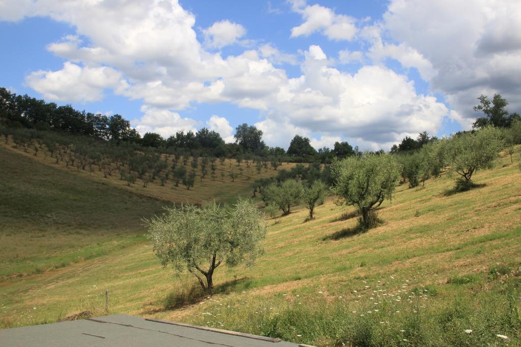 Agriturismo Le Buche Di Viesca Reggello Buitenkant foto